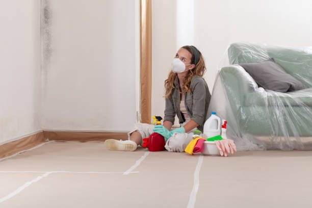 Reliable Mold Remediation contractor in Trenton, IL by WQB Mold Removal